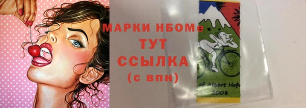 mdpv Бородино